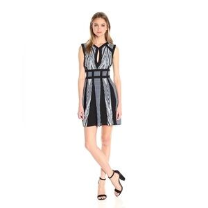 BCBGMaxAzria Perla Fit and Flare Dress